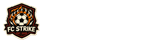 法甲直播